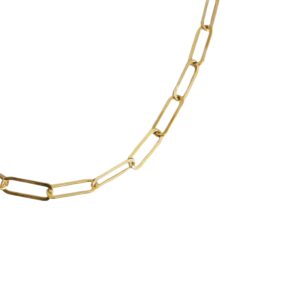 Cadena Clip Maxi, plata con baño de oro