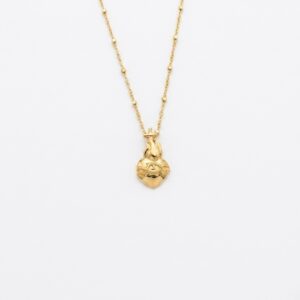 Collar SCJ, plata con baño de oro